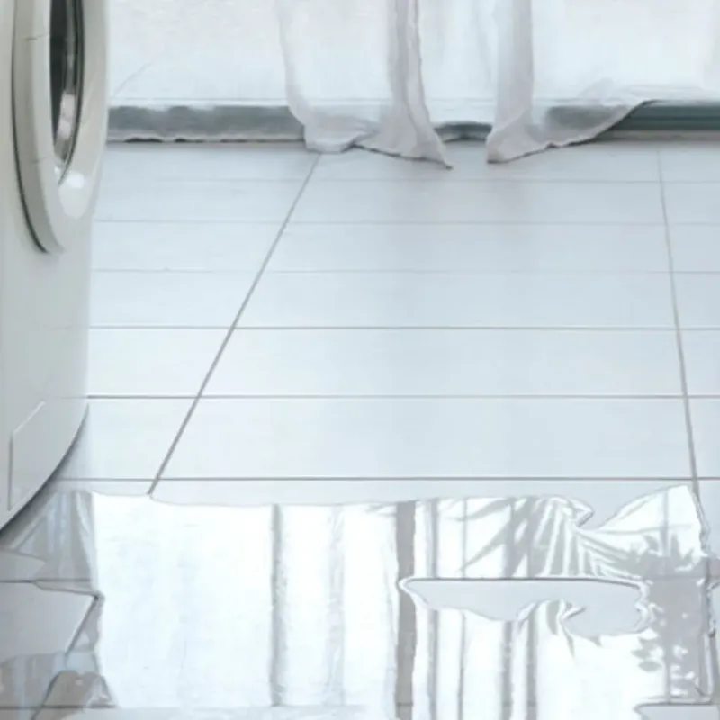Appliance Leak Cleanup in Lakewood, WA