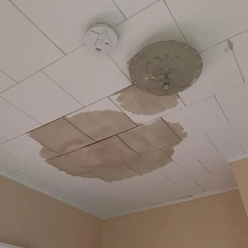 Ceiling Water Damage Repair in Lakewood, WA